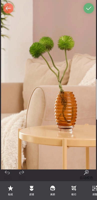 镜像相机软件最新版