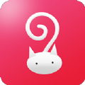 猫小券app