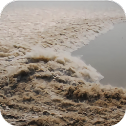 全国潮汐表2026最新版