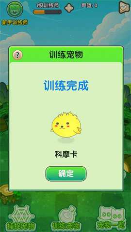 口袋妖兽训练师