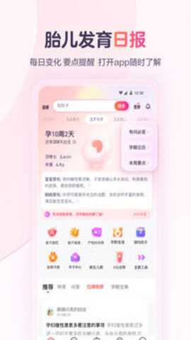 宝宝树孕育下载