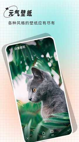克拉壁纸下载