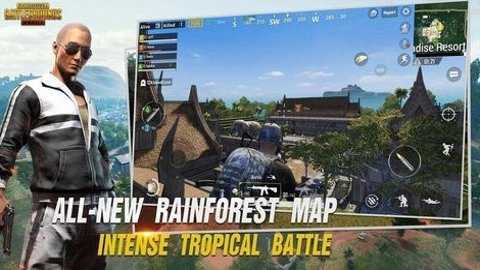 PUBG群星通用框架下载