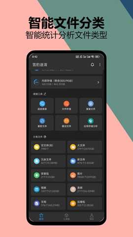雪豹清理大师