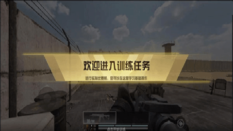 ProjectBloodStrike网易版下载
