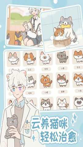 遇见你的猫国际服下载
