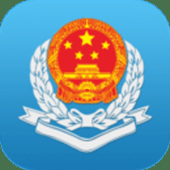 广东电子税务局