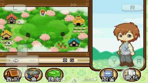 牧场物语双子村下载
