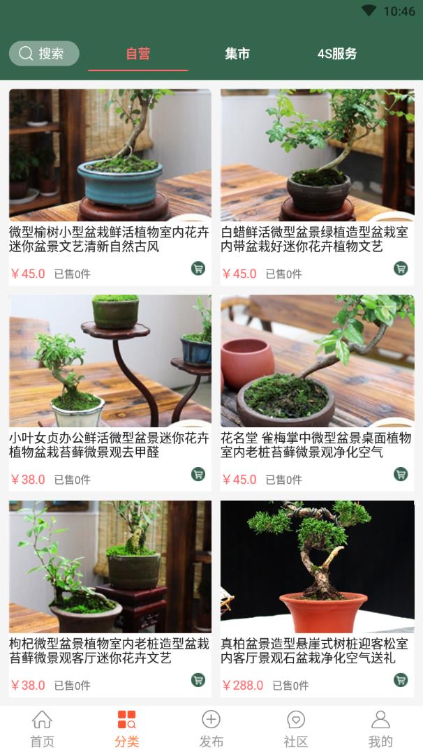 中国小微盆景app