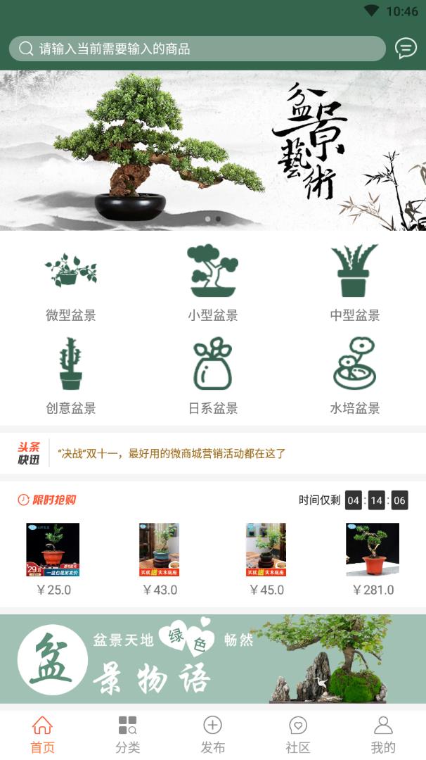 中国小微盆景app