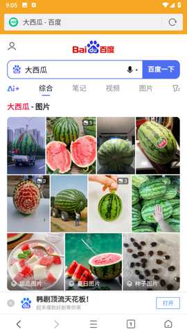 fiery浏览器