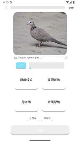 百鸟记