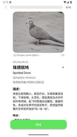 百鸟记
