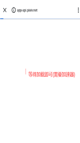 中国proburn