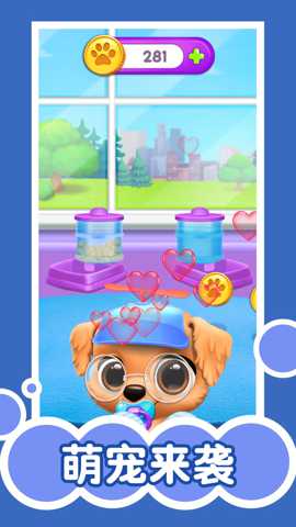 猫咪生活日记下载