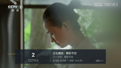 悠悠电视TV版