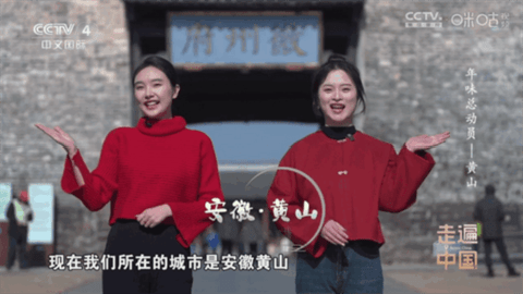 悠悠电视TV版