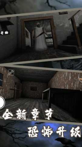 恐怖奶奶11下载