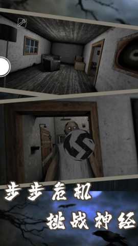 恐怖奶奶11下载