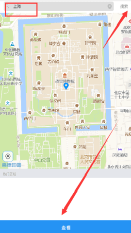 布鲁帝