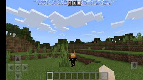 我的世界1.21.110.24版本下载