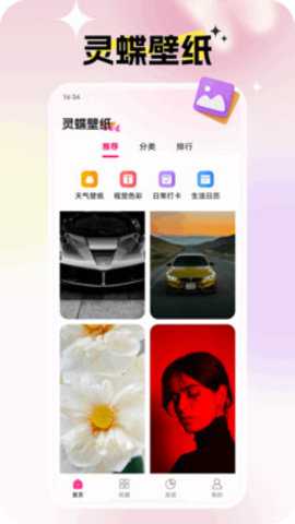 灵蝶壁纸