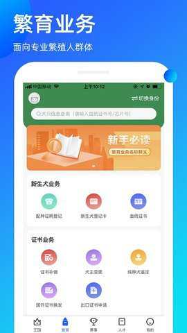 宠爱王国下载