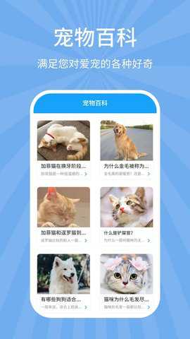 狗猫翻译器下载