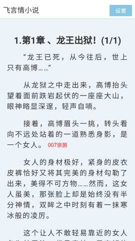 飞言情小说