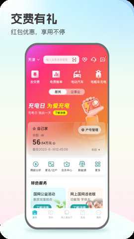 网上电网