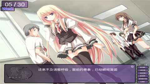 鸑鷟镜花水月下载