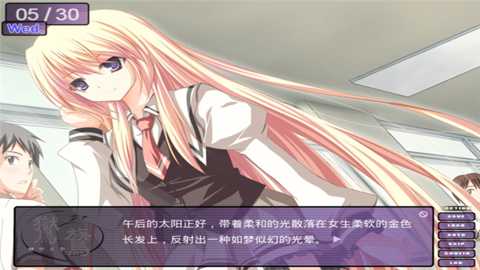 鸑鷟镜花水月下载